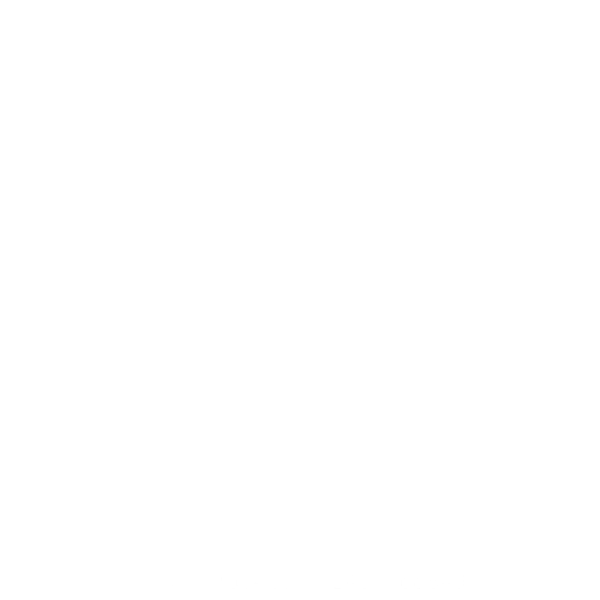 SAC (2)